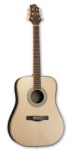 Samick ASDRL1 Solid RSWD Guitar