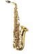 St. Francis Alto Sax Band Program Accessory Pkg 2010
