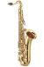 Roosevelt Middle School Tenor Sax Band Program Accessory Pkg 2009
