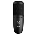 P120 Studio Condenser Microphone