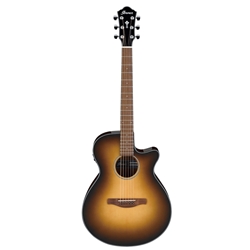 Ibanez AEG50 AC/EL Guitar