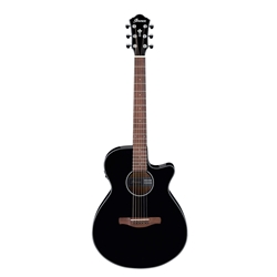 Ibanez AEG50 AC/EL Guitar