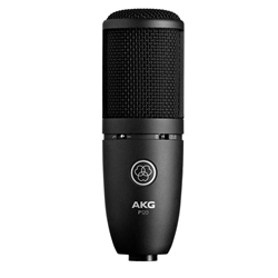 P120 Studio Condenser Microphone